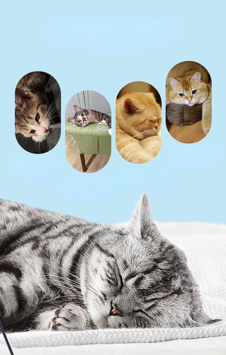 Dr.DC Teasing Cat Stick Head with or without Wire Stick Dragonfly Feather Cat Supplies Interactive Fun Pet Cat Toy Accessories