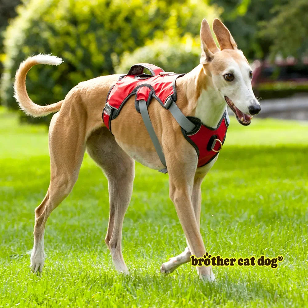 Pet Dog Harness Walk Vest For Big Large Dogs Adjustable Strong Outdoor Padded Travel Reflective Harness Pitbull Dropship Perro