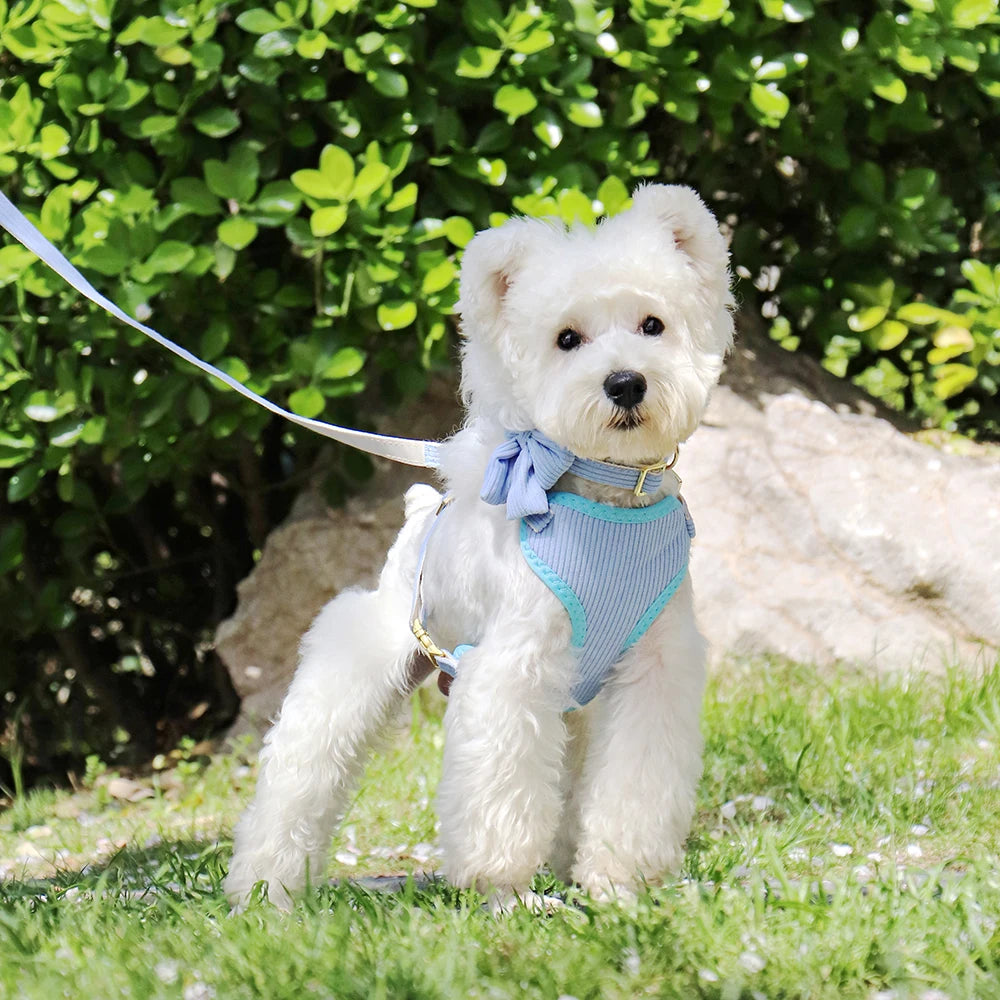 3PCS Dog Collar Harness Leash Set Breathable Dog Harnesses Soft Velvet Puppy Necklace With Bowknot Pet Walking Rope For Dogs Pug