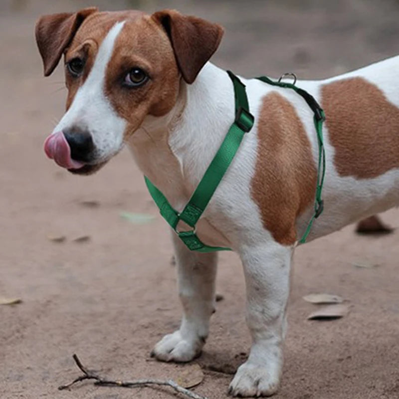 Husky H-Shaped Pet Dog Harness Explosion-Proof Soft Chest Strap Medium Large Dog Traction Durable Nylon Pet Leash Accessories