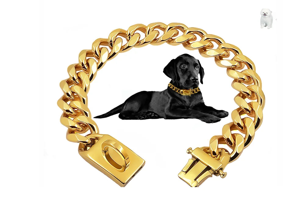 Gold Dog Collar Stainless Steel Pet Metal Choker 19mm Wide Lead for Medium Large Dogs Pet French bulldog Labrador Retriever