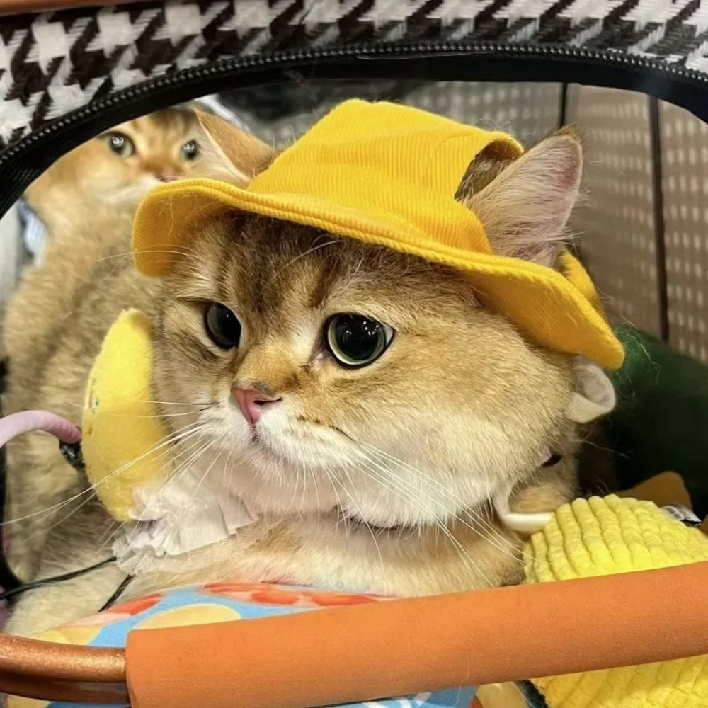Pet Hats Cat Hat with Ear Holes Sunscreen Baseball Cap for Large Medium Small Dogs Summer Cat Cap Sun Hat Outdoor Hiking Hat