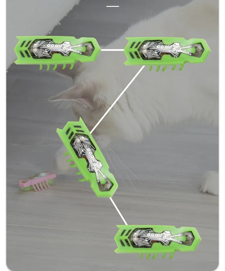 Mini juguete eléctrico para mascotas, perros y gatos, interactivo, con forma de mariquita y escarabajo, ideal para pasear, jugar o jugar.
