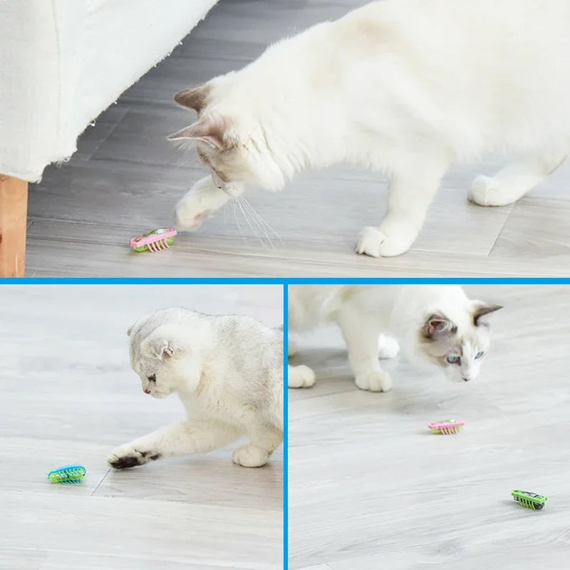 Mini juguete eléctrico para mascotas, perros y gatos, interactivo, con forma de mariquita y escarabajo, ideal para pasear, jugar o jugar.