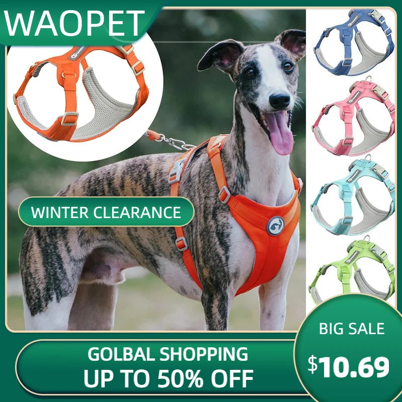 Adjustable Pet Care Harness for Small Dogs, Puppy, Cat Vest, French Bulldog, Chihuahua, Pug Outdoor Walking Lead, Leash
