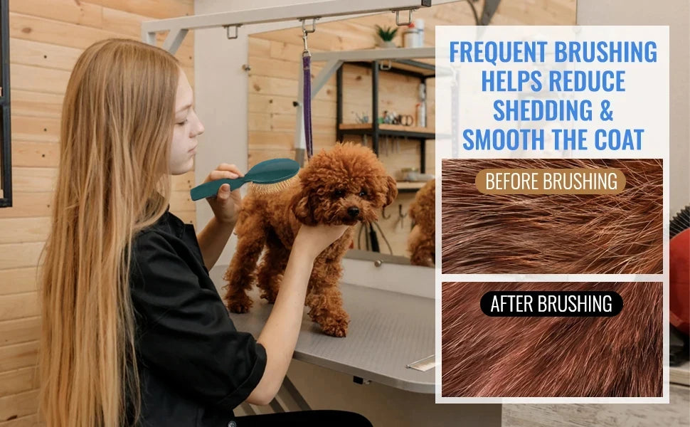 Pet Grooming Detangler Pin Dog Brush for Shedding & Removing Loose Fur, Lightweight ABS with Gold Plated Pins for Long Hair