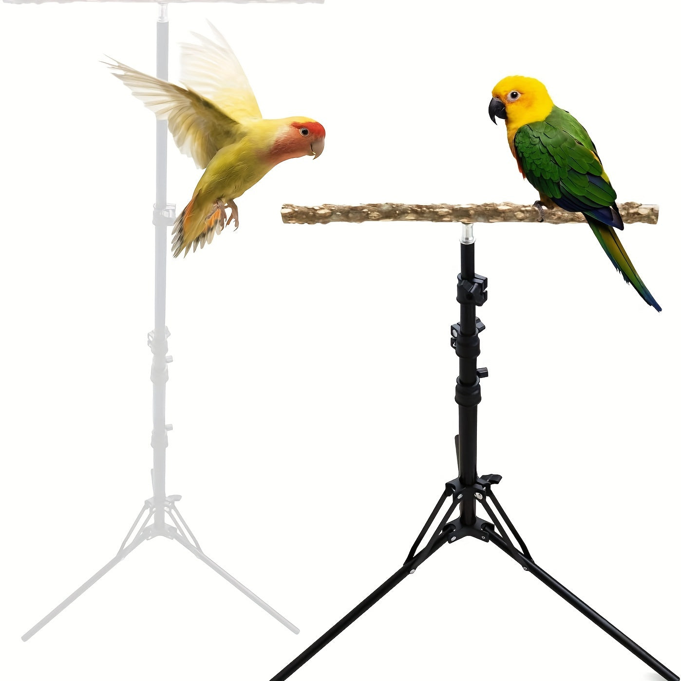 1pc Adjustable 16-63 Inch Parrot Perch Stand, Bird Training Toy, Indoor And Outdoor Bird Stands For Small To Medium Birds