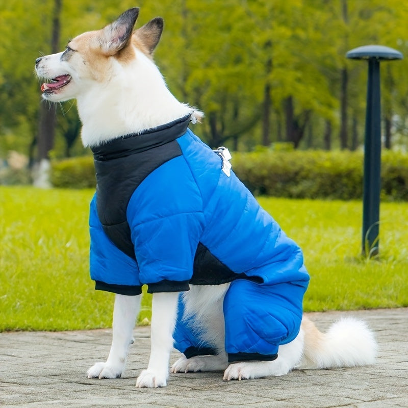 Cozy Winter Clothing - Keep Your Pets Warm - Pet Apparel