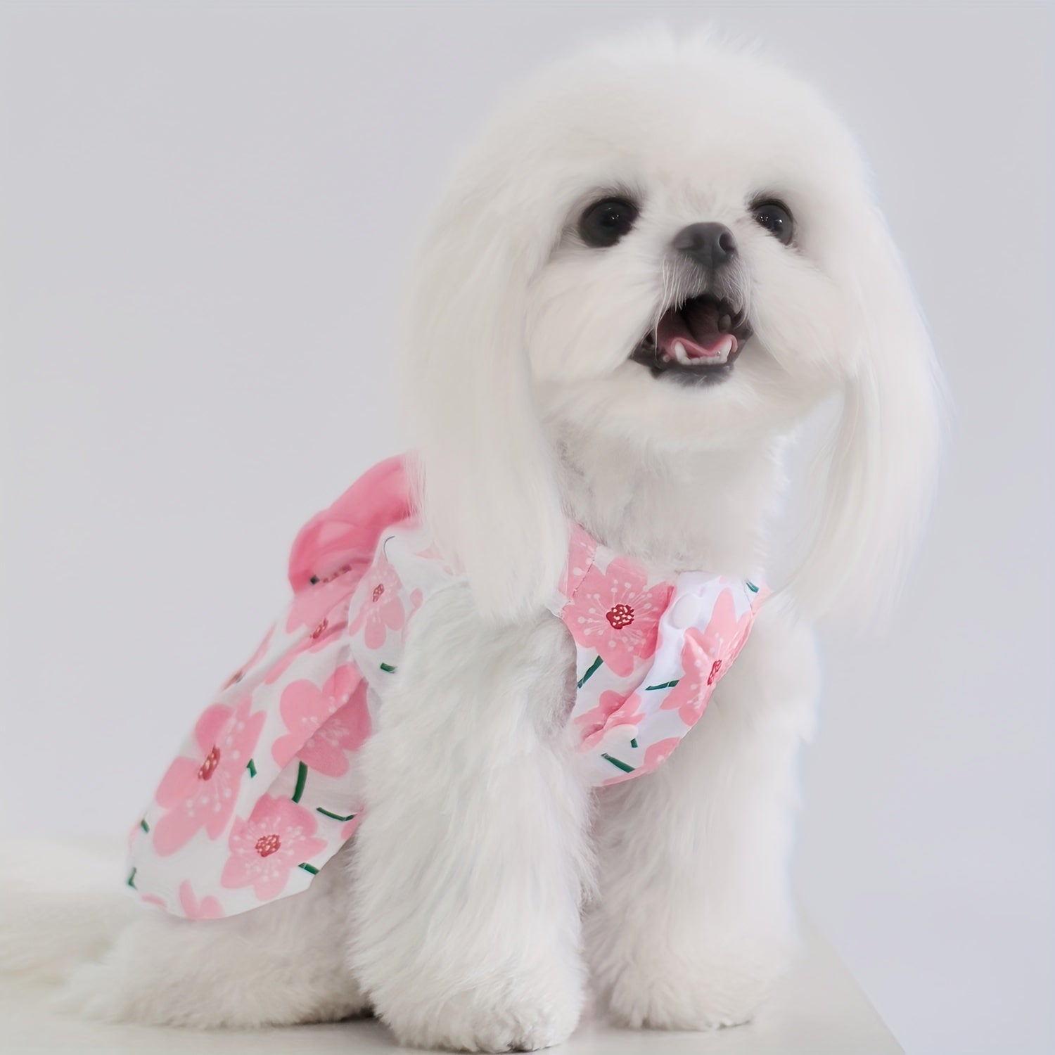 5pcs Floral Princess Dress Set for Small Dogs & Cats - Breathable Summer Pet Apparel with Bowknot, Ideal for Yorkies, Bulldogs, Bichons, Pomeranians, Chihuahuas, for Autumn, Spring