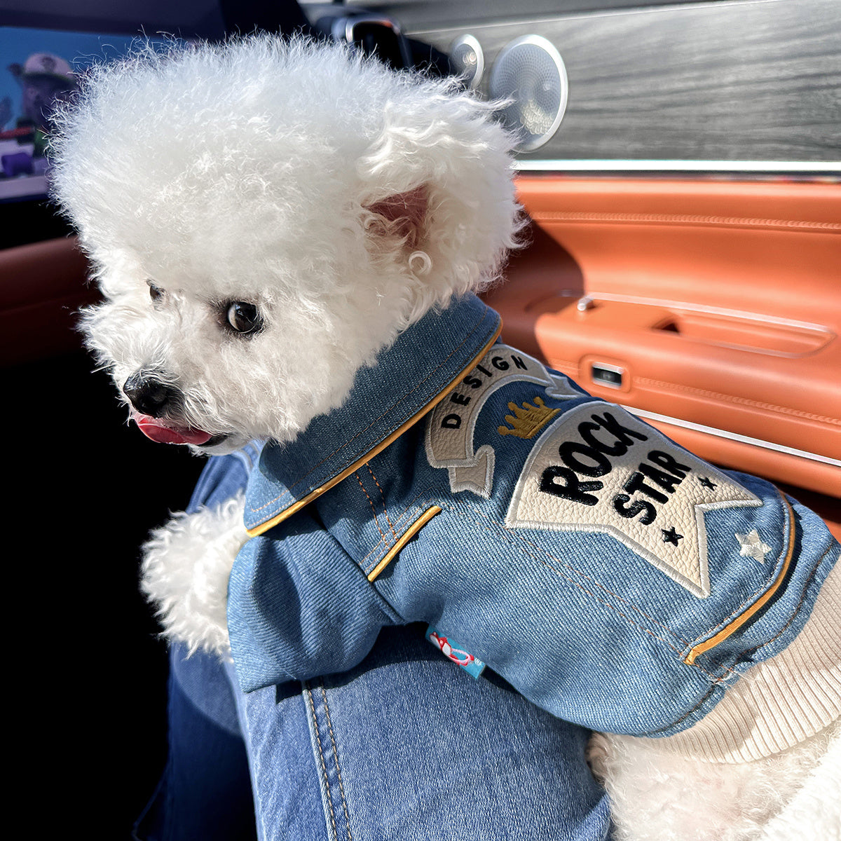 Chic Denim Dog Jacket for Small Breeds - Cozy & Stylish Pet Apparel with Snap Closure, Perfect for Fall/Winter