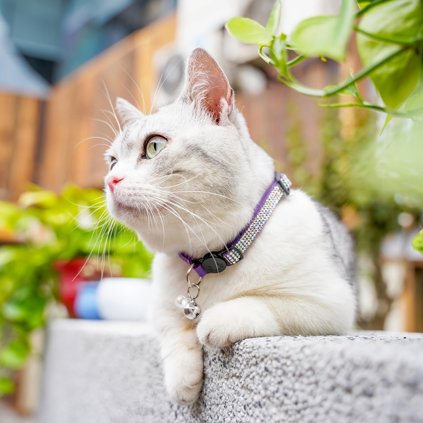 Rhinestone Cat Collar Breakaway with Bell, Precious Stone Cat Collar with Safety Buckle Quick Release for Individual Boy Small Kitten Pets Puppy, Cute Soft Female Male Cat Collars