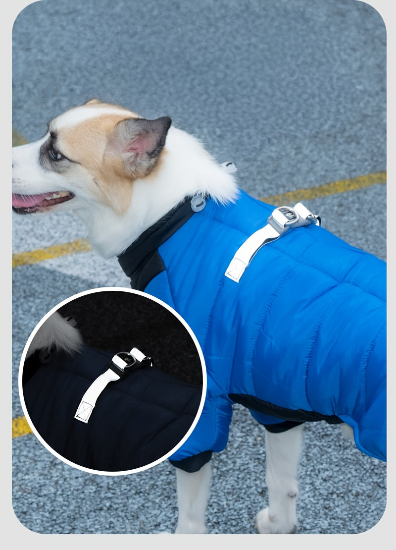 Cozy Winter Clothing - Keep Your Pets Warm - Pet Apparel