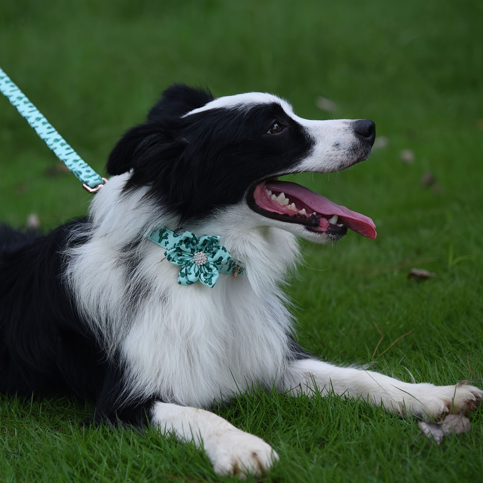 Stunning Floral Rhinestone Pet Collar - Durable Polyester Construction - Adorned with Sparkling Rhinestones - Adjustable for Comfortable Fit - Perfect for Pet Lovers and Fashionistas