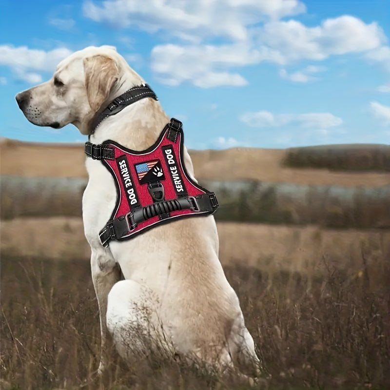 Heavy Duty Dog Harness And Leash Set With Poop Bag Dispenser And Bowl