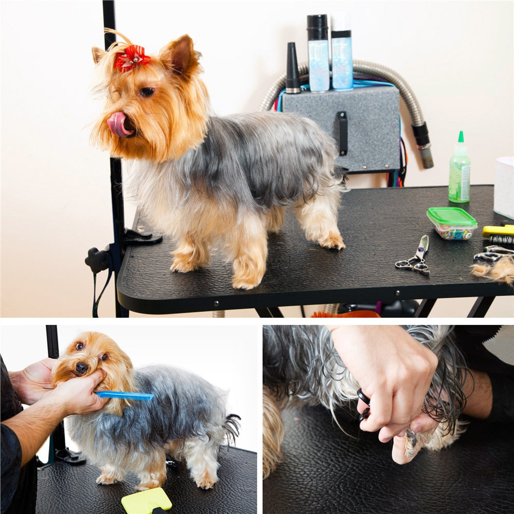 Costoffs Pet Foldable Grooming Table Dog Cat Beauty Trimming with Height Adjustable Arm Folding Legs Halloween Pet Grooming Table for Home or Professional Pet Store Uses