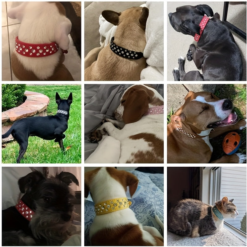 CP037D New Color Amazon Hot Pet Collar