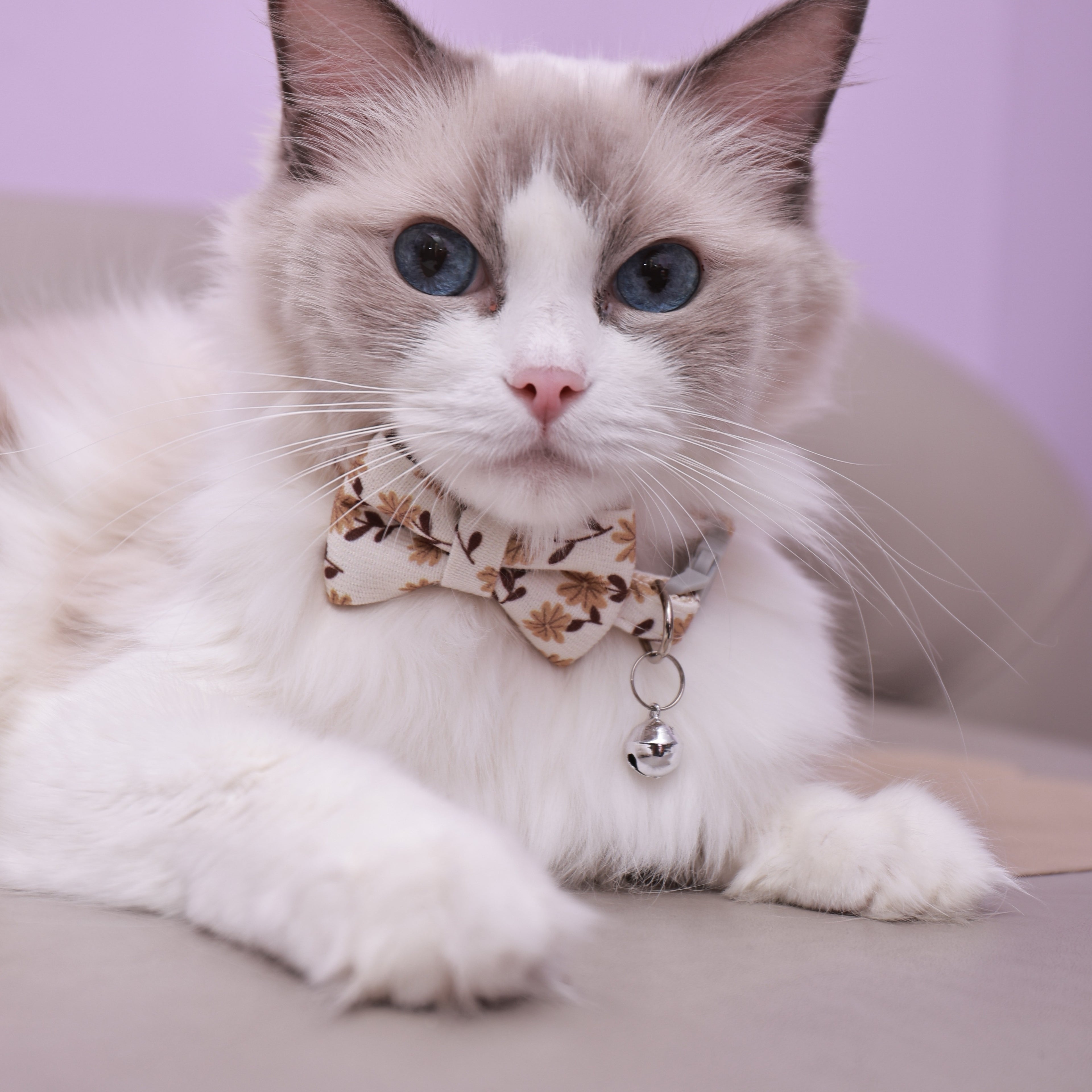 Floral Pattern Cat Collar with Bell and Bow, Adjustable Polyester Fiber Pet Collar Set for Kittens and Small Cats - Fresh Style, Breakaway Safety Design