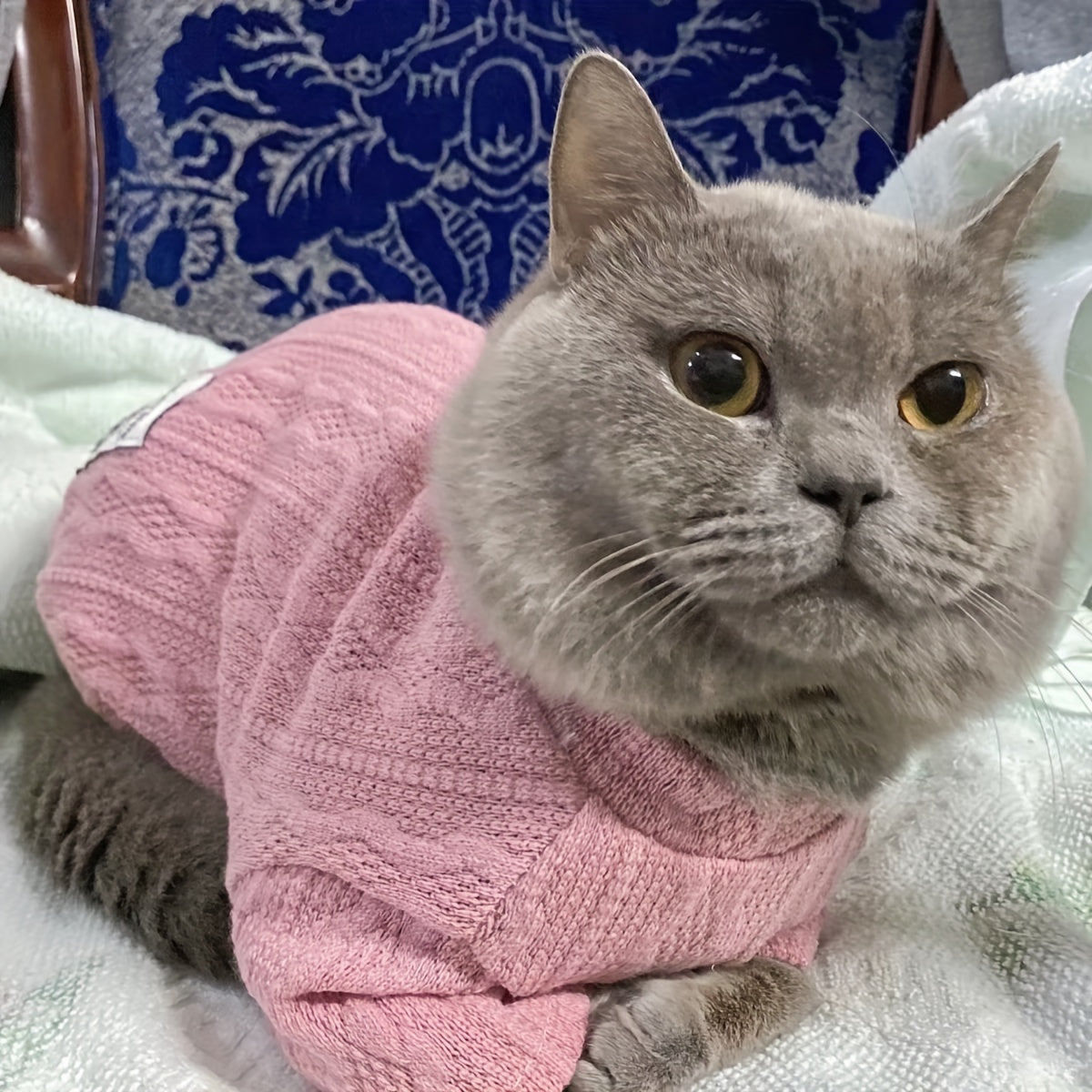 Cat And Dog Sweater, Pet Knitted Clothes, Solid Color Cat Knitwear, Pet Apparel