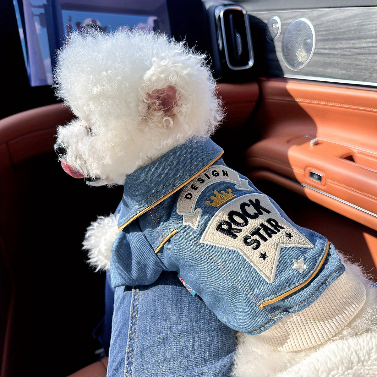 Chic Denim Dog Jacket for Small Breeds - Cozy & Stylish Pet Apparel with Snap Closure, Perfect for Fall/Winter