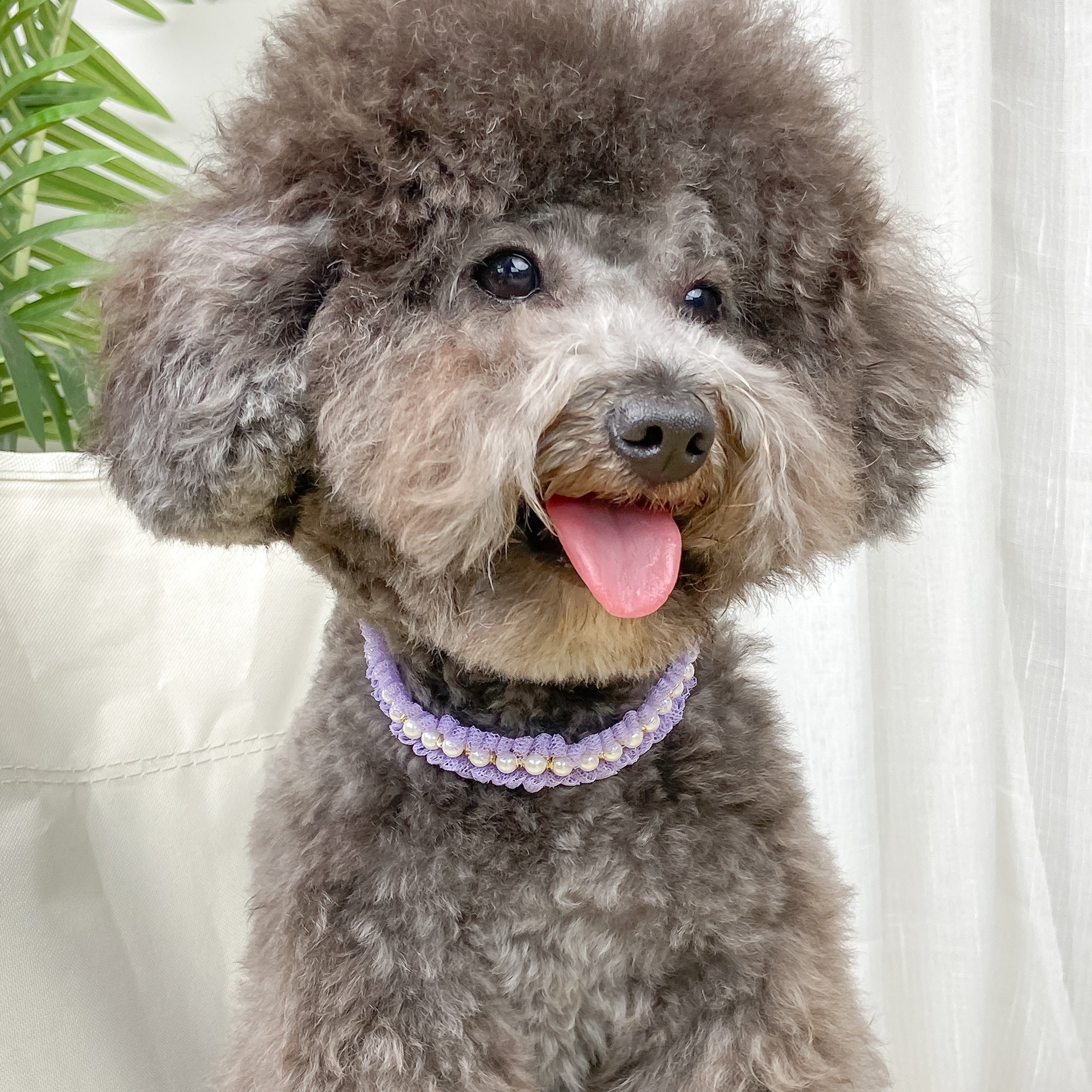 Pearl and Lace Pet Collar, Cute Dog and Cat Adjustable Neck Accessory with Mesh Ruffle Detail - Elegant Patterned Design for Stylish Pets