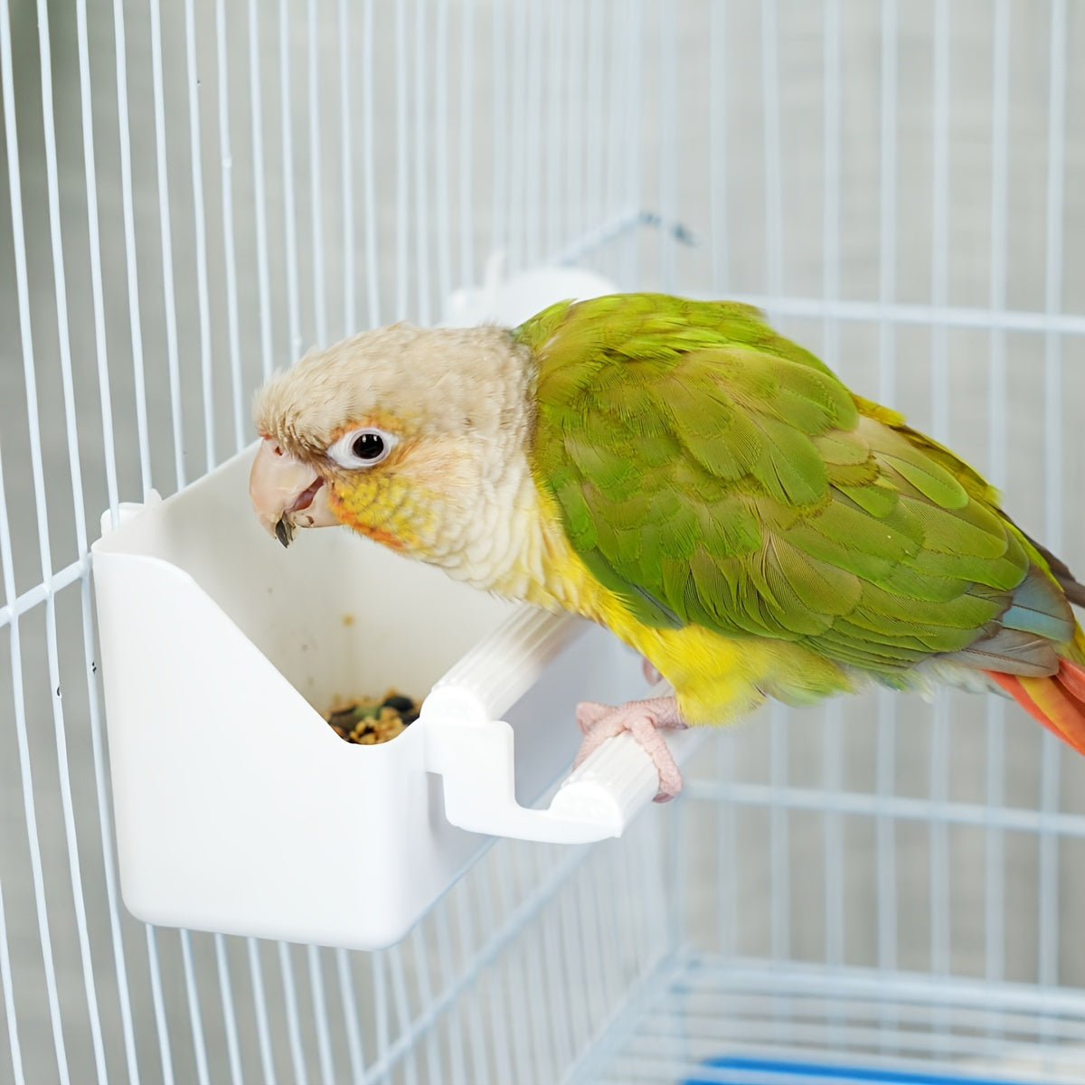 Durable ABS Parrot Feeder - Hanging Food & Water Bowl for Birds, Quail, and Parakeets - Cage-Mounted Pet Feeding Cup