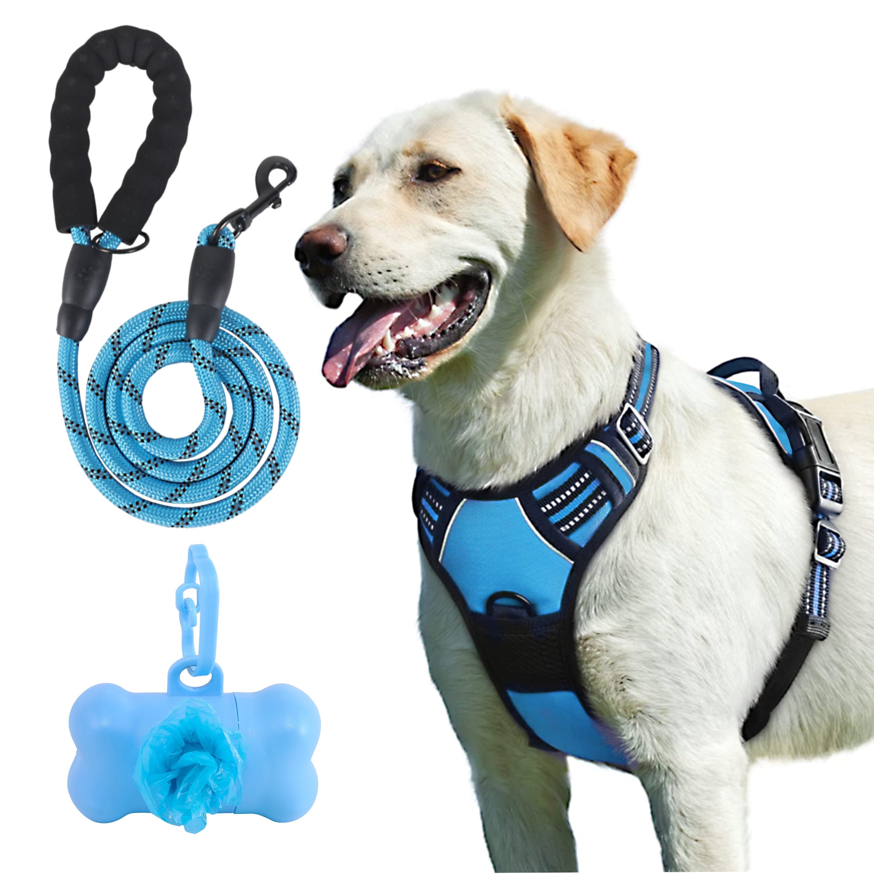 dog harness and leash set