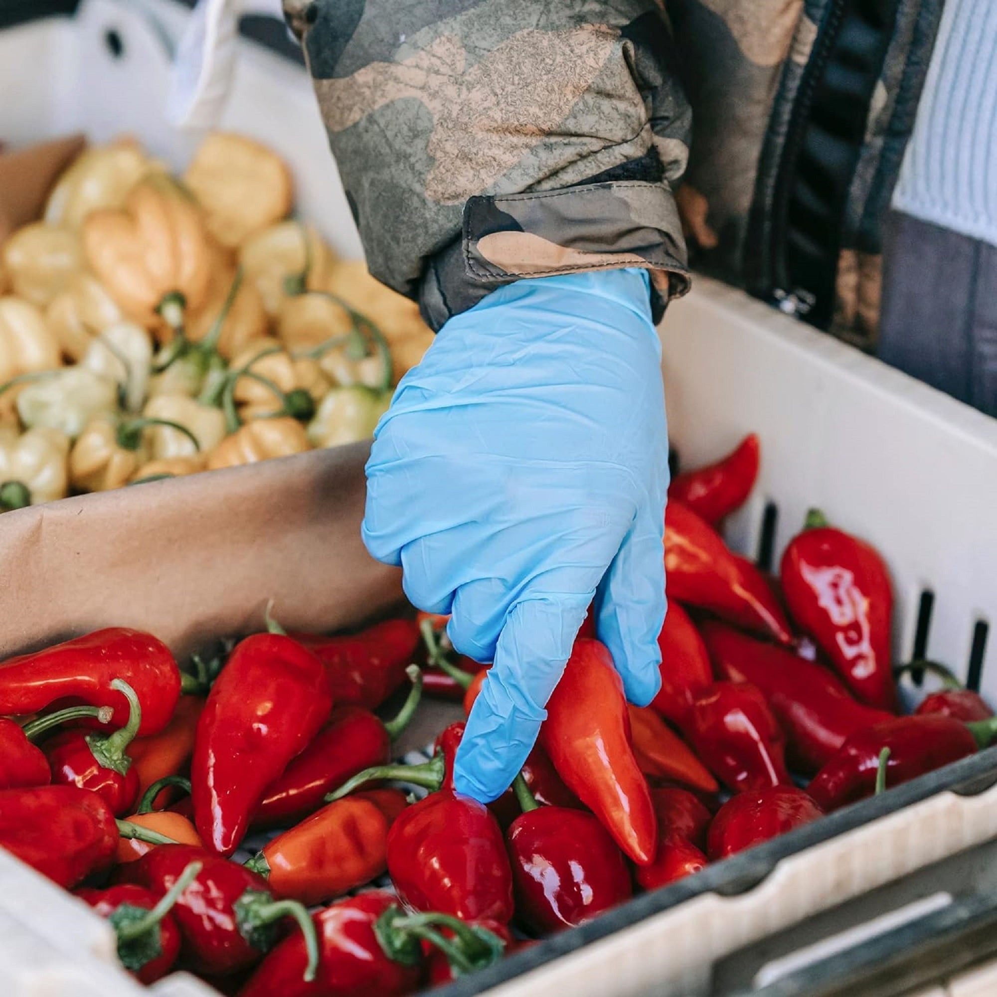 Disposable Nitrile Ultra-Durable Gloves