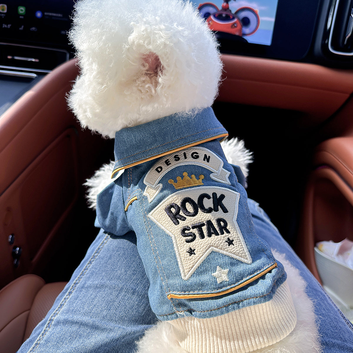 Chic Denim Dog Jacket for Small Breeds - Cozy & Stylish Pet Apparel with Snap Closure, Perfect for Fall/Winter