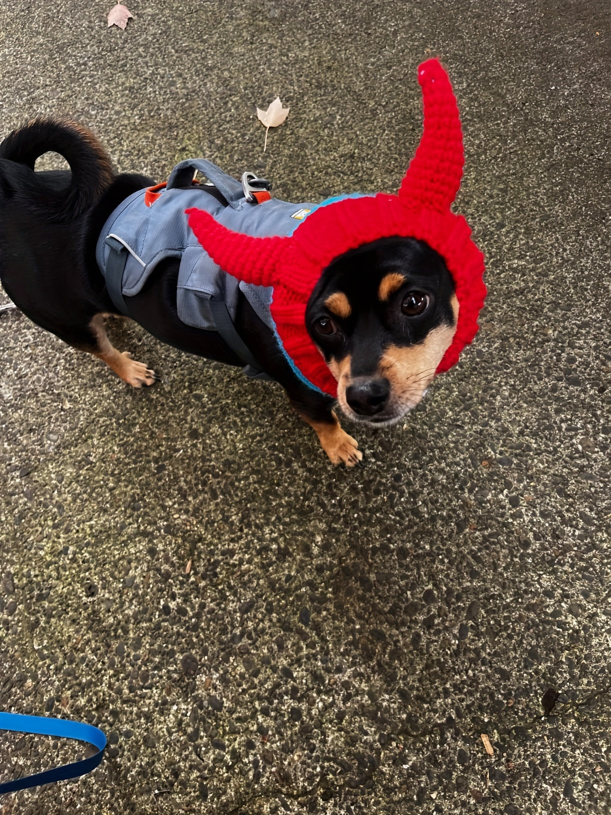Dog & Cat Devil Horns Beanie - Cozy Knit Pet Earmuffs Ear Warmer Headband, All-Season Polyester Hat for Pets, Ideal for Winter, Halloween, Christmas Pet Accessories, Suitable for Small, Medium, Large Breeds