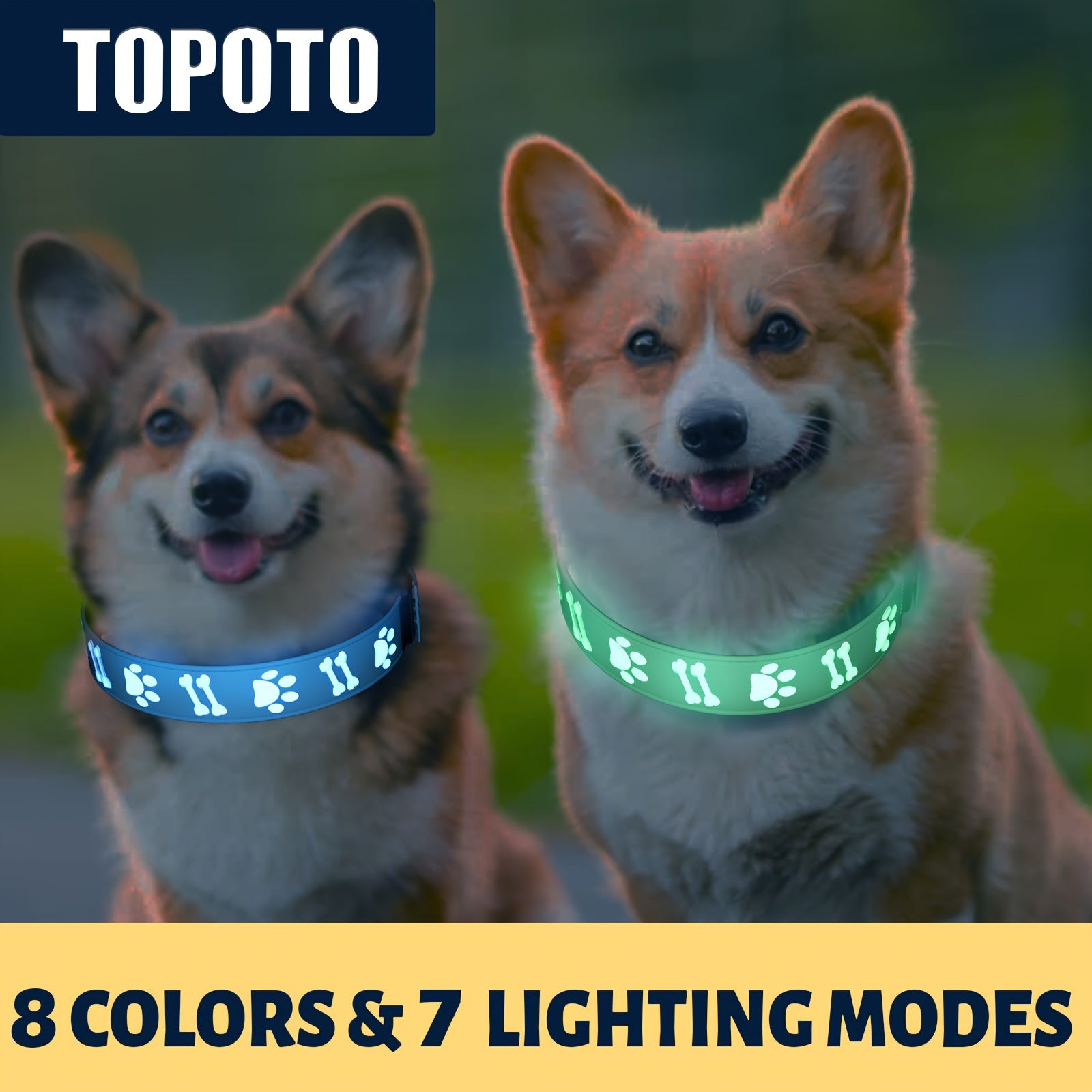 LED Dog Collar