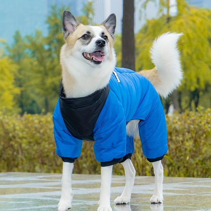 Cozy Winter Clothing - Keep Your Pets Warm - Pet Apparel