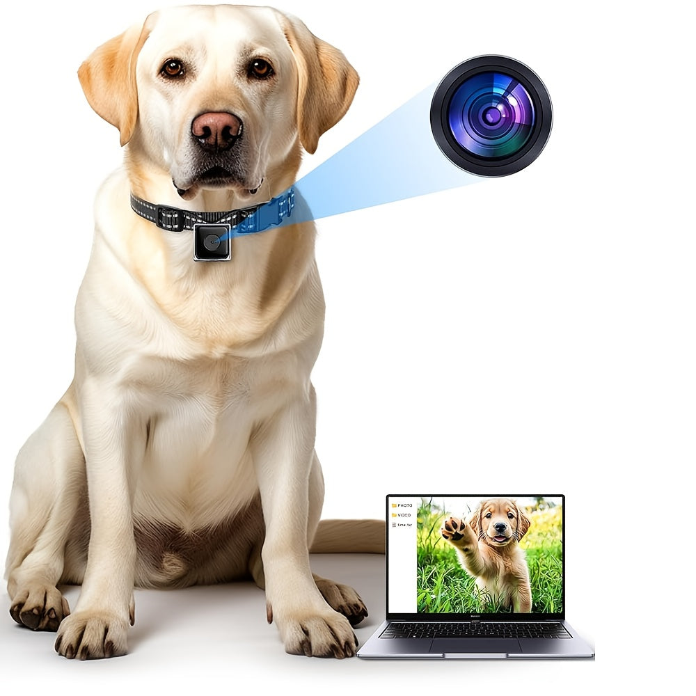 1pc Dog Collar,Dog Collar Camera with Video Record, M-Size Collar for Dogs/Big Cats,Pet Collar Camera Outdoor,Camera for Dog Collar