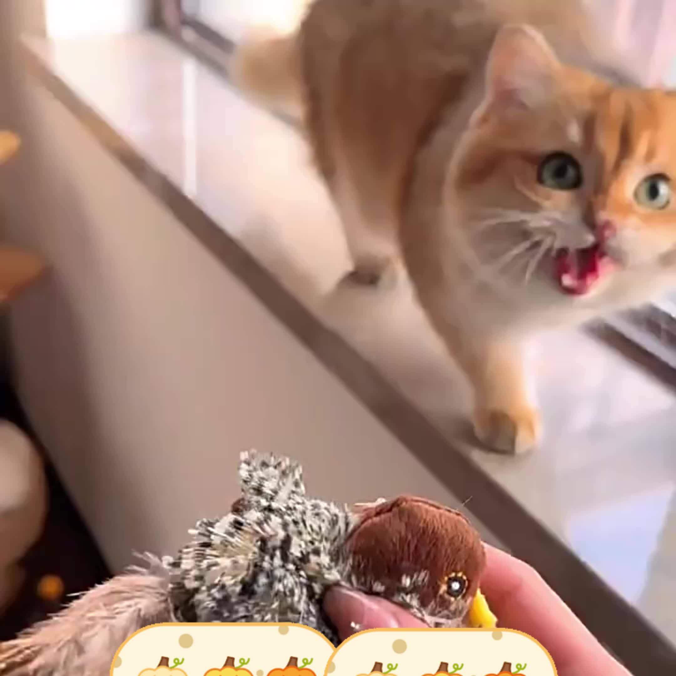 Interactive Plush Bird Cat Toy with Self-Raising Sound, Includes Pet Herb - Non-Electric Fabric Pet Toy, Simulated, TikTok