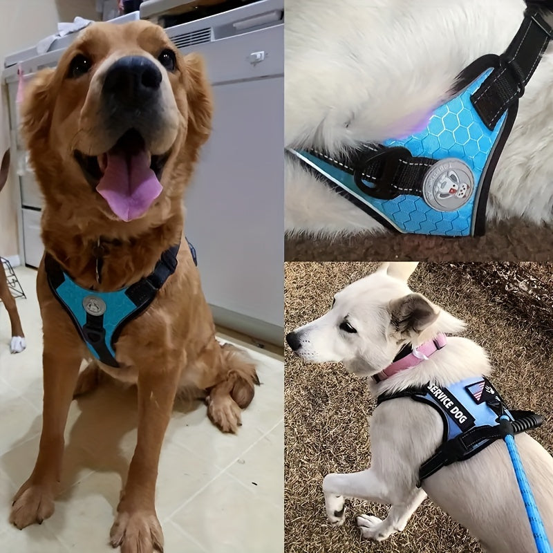 Heavy Duty Dog Harness And Leash Set With Poop Bag Dispenser And Bowl