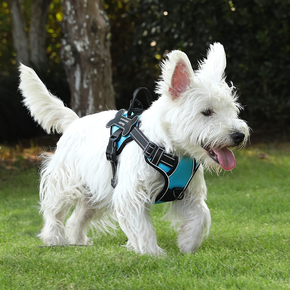 Personalized Dog Harness NO PULL Breathable Pet Harness Vest With Lovely Custom Patch Harness For Small Medium Large Dogs