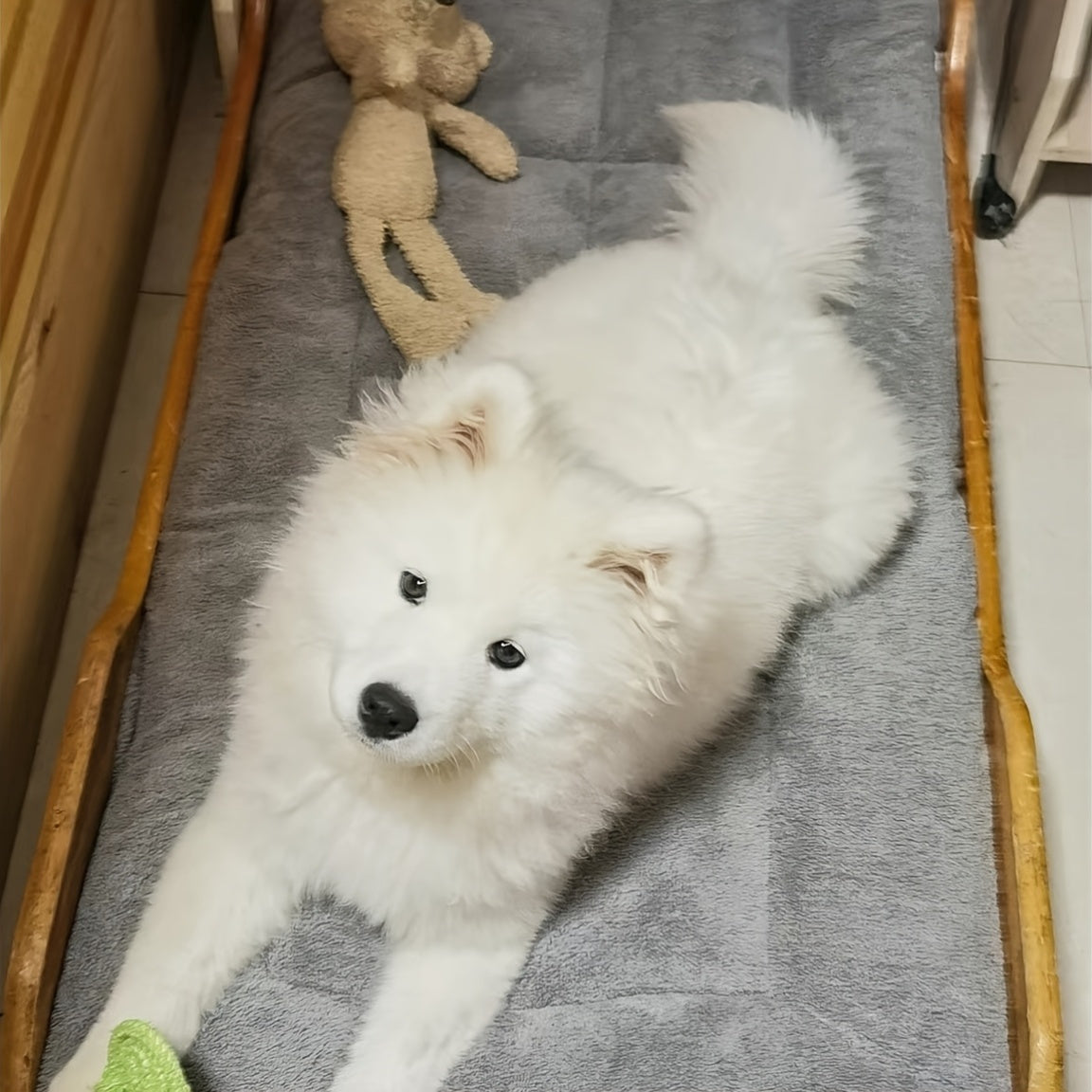 Extra Soft Plush Pet Bed for Dogs, Large Size, Reversible, All-Season Comfort, Polyester Fiber Filled, Suitable for Extra Small to Large Breeds up to 40kg, Rectangle Shape