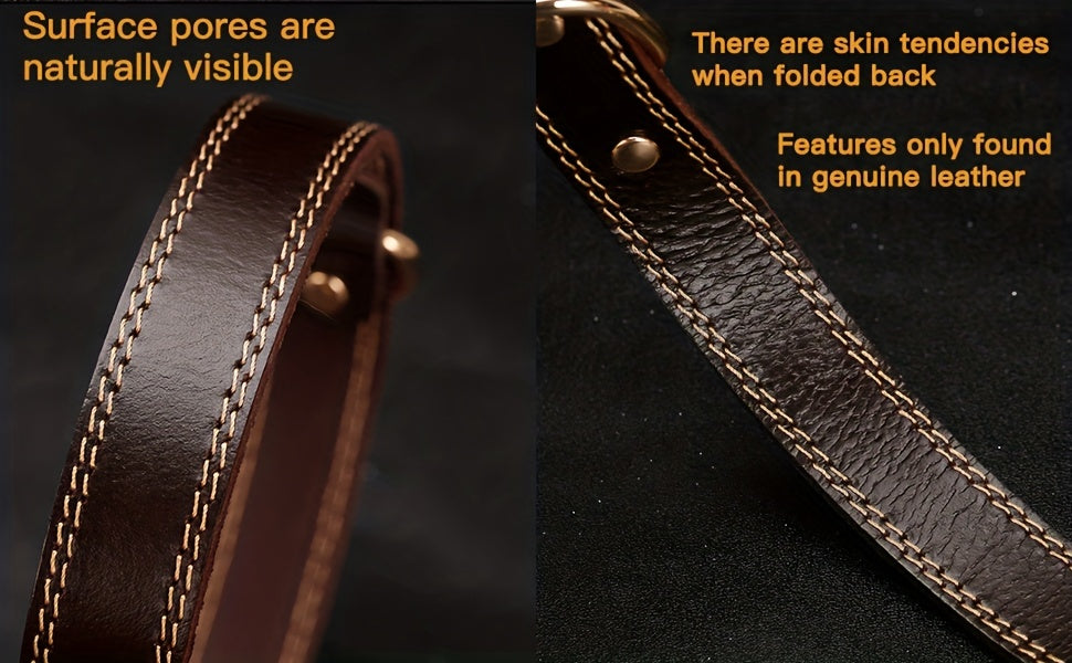 Personalized Dog Collar with Custom Engraving, Adjustable Pet Collar with Durable Buckle, Elegant Accessory for Small to Large Dogs