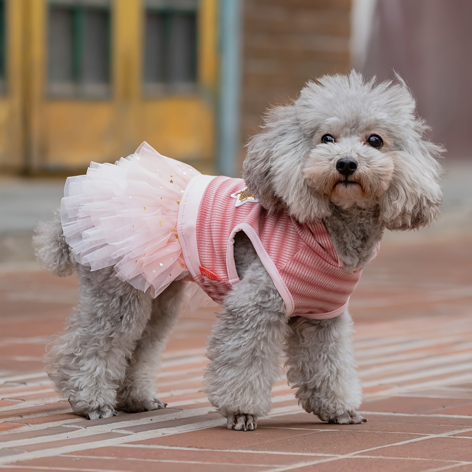 Chic Striped Dog Dress with Hood & Reflective Star Accents - Soft, Comfortable Pullover Pet Apparel for Small Breeds, Machine Washable - Sizes XS to XL