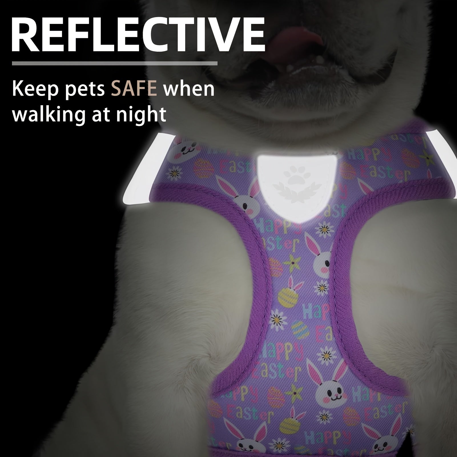 Adjustable Dog Harness Collar And Leash Set For Small Dogs