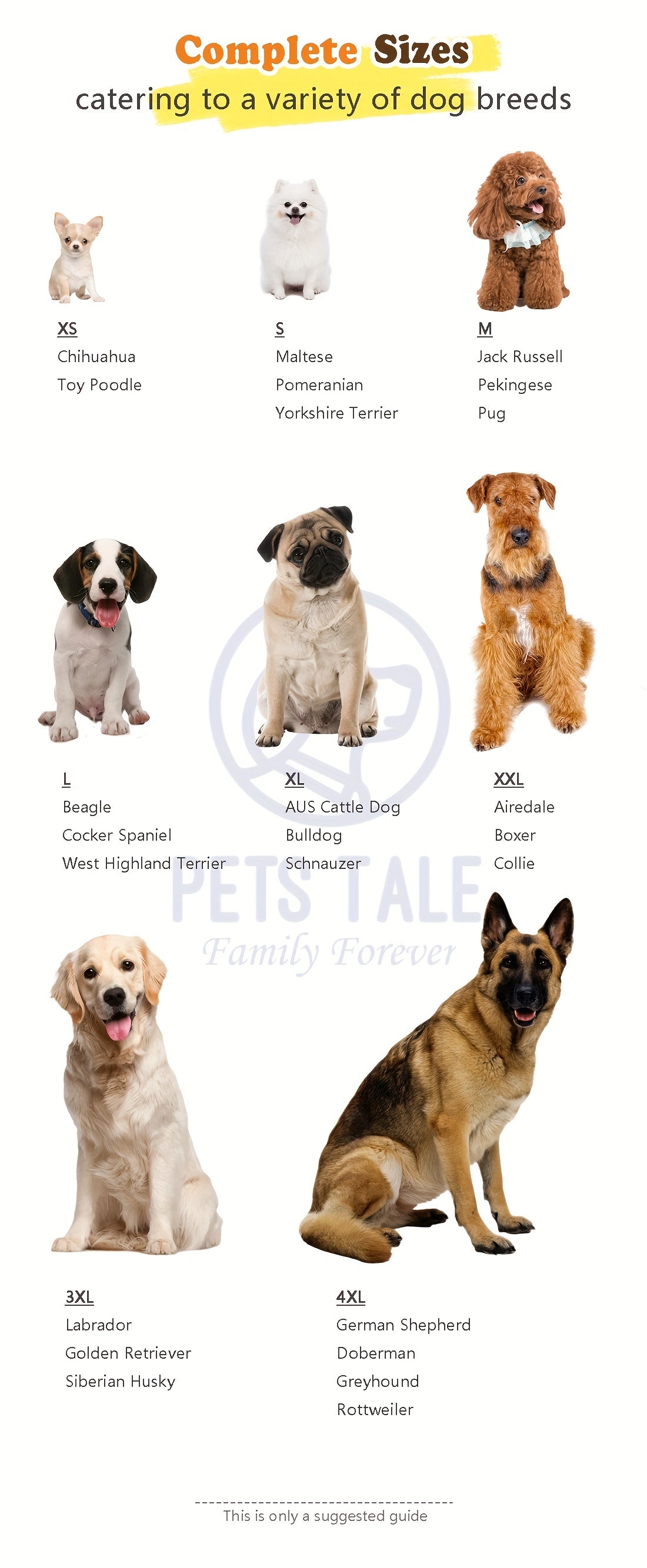 PETS TALE Dog Sweater Cable-Knit Pullover with Chain Detailing & Tag - Machine Washable Cozy Winter Sweater for Small, Medium & Large Breeds, Navy Blue, Dog Sweater for Small Dogs, Durable Petwear