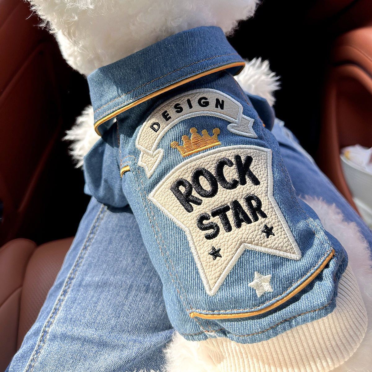 Chic Denim Dog Jacket for Small Breeds - Cozy & Stylish Pet Apparel with Snap Closure, Perfect for Fall/Winter