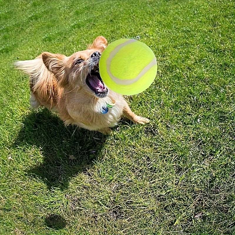 20 Pack Tennis Balls For Small Dogs, Pet Toys For Playing And Training, 2 Inch (5cm)