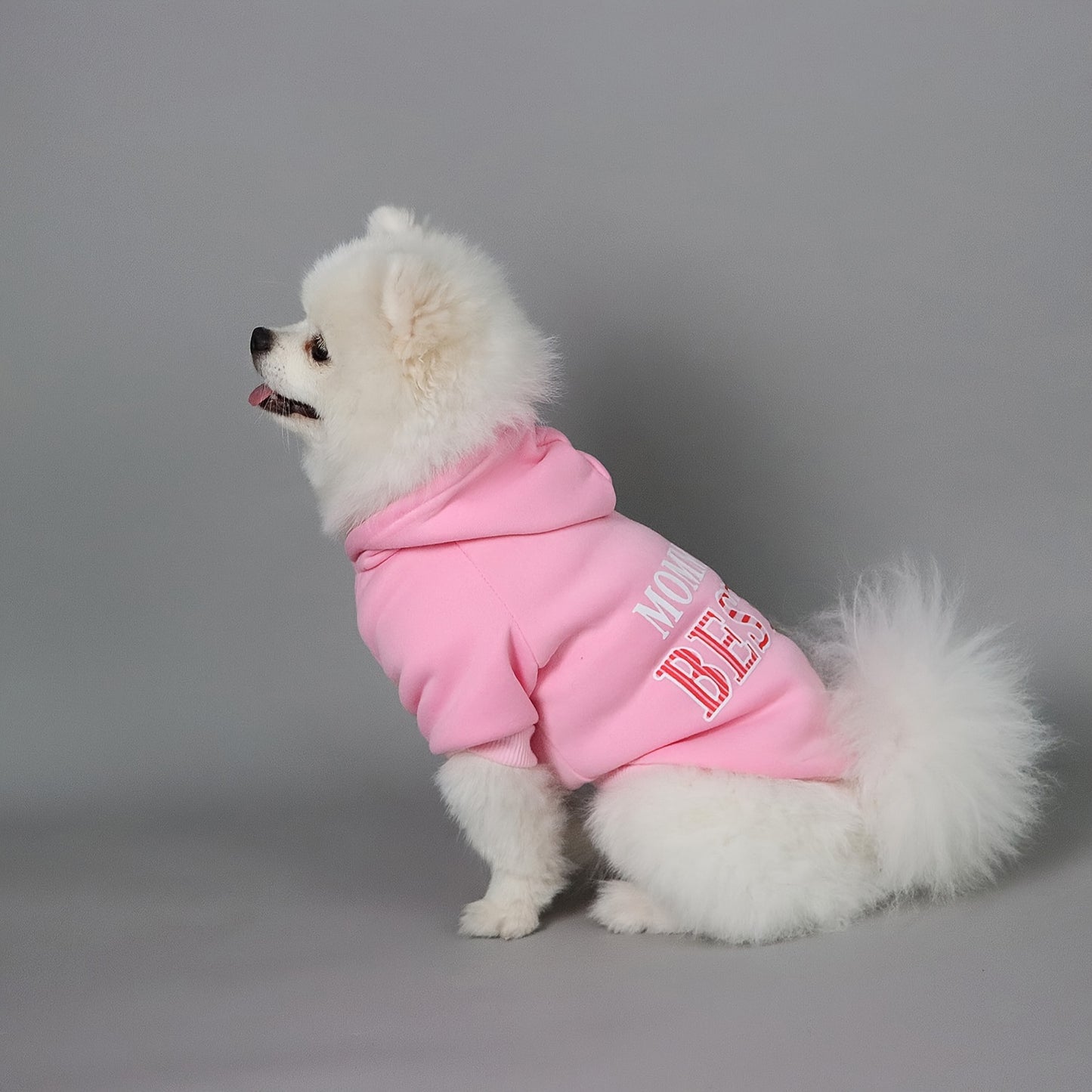 Pet Hoodie For Small & Medium Dogs, "Mommy's Boy" Pattern Dog Hoodie, Winter Pet Apparel