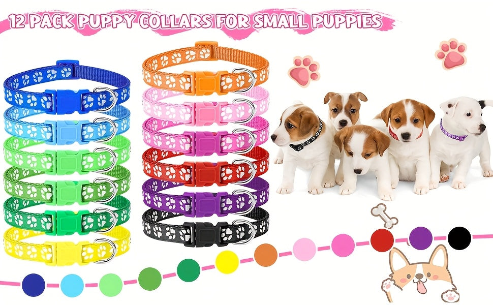 12set Dog Collar and Leash Set