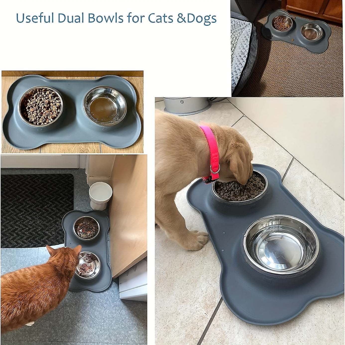 2-in-1 Dog Feeding & Watering Station