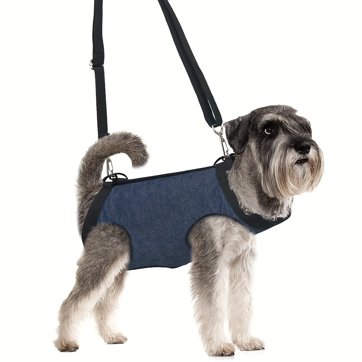 Dog Harness, Portable Dog Harness For Small Dogs, Hind Leg Support Pet Harness, Vest Adjustable Breathable Straps For Dog Walking, Without Battery
