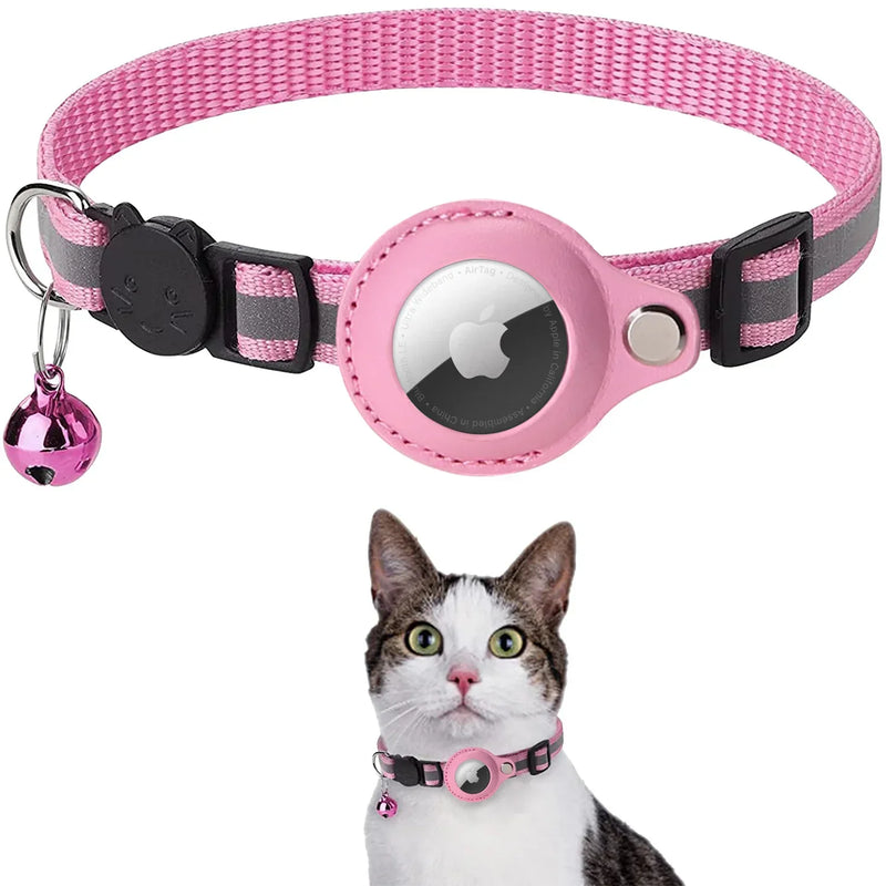Pet Collars