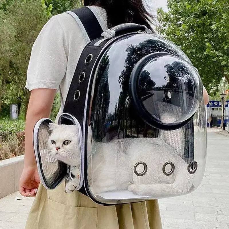 Pet Outdoor Supplies