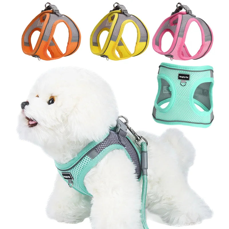 Pet Harnesses