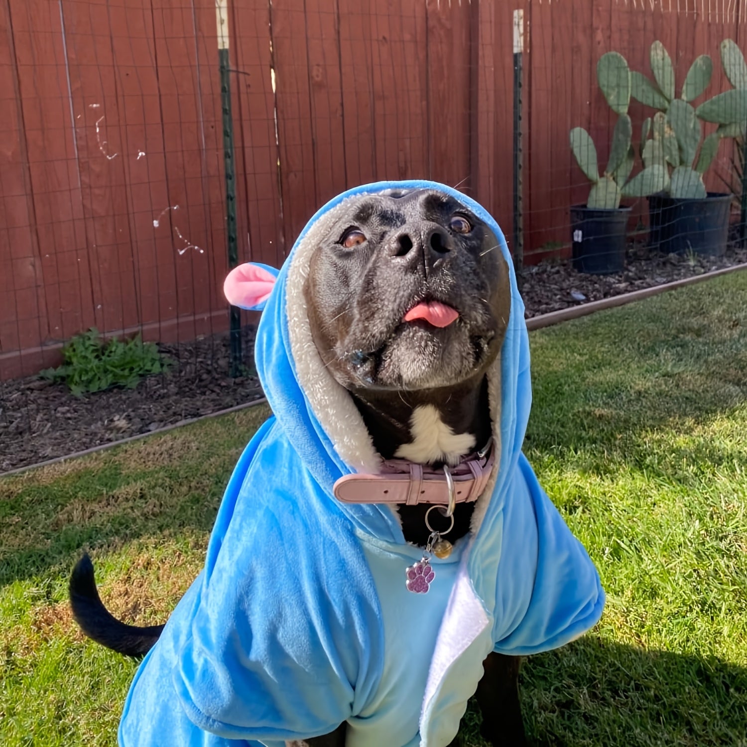Halloween & Christmas Pet Hoodies - Cute Cartoon Animal Costumes for Dogs & Cats, Soft Polyester Knit Fabric, XS to 7XL Sizes, Fun Holiday Outfits with Bats, Ghosts, and Snowmen Designs, Dog Costume, Festive Pet Apparel, Play